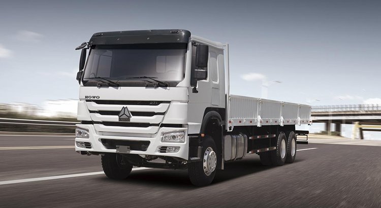 Howo-6X4-Cargo-Truck-3