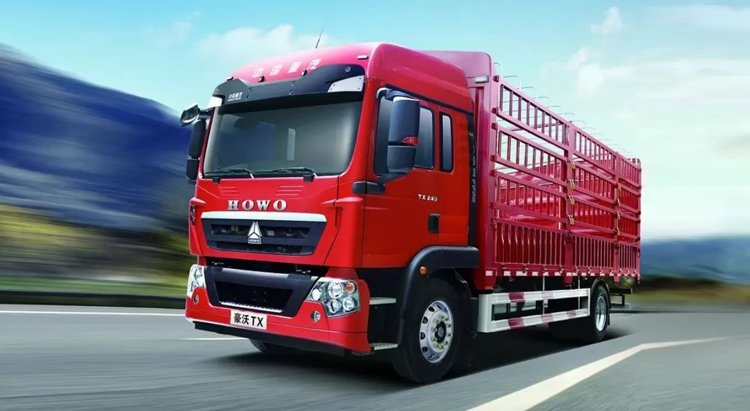 Howo-TX-4X2-Cargo-Truck-5